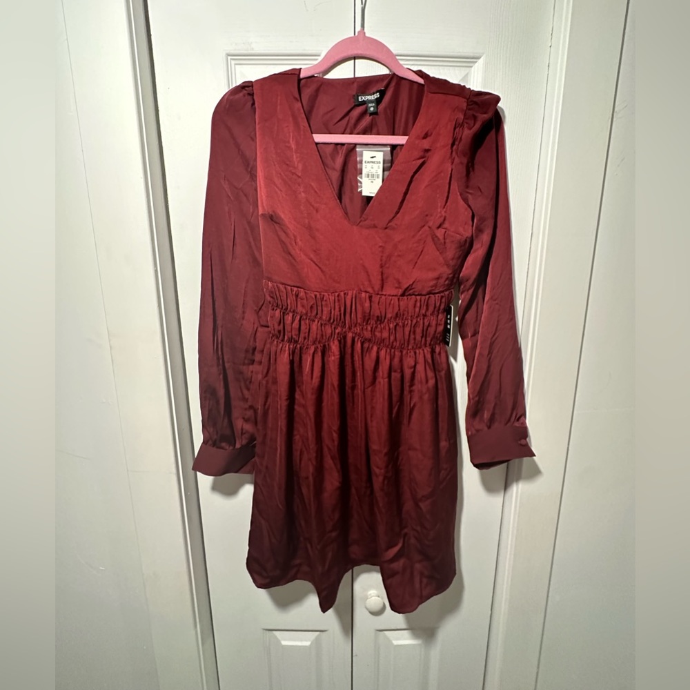 Express burgundy silk dress